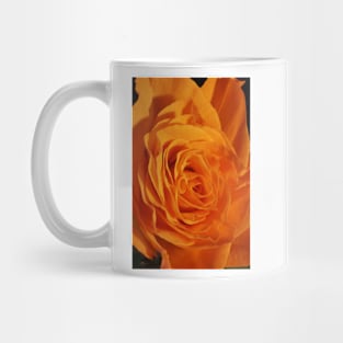 Orange Rose Closeup Mug